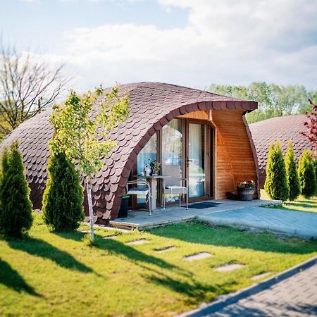 فندق Montana Garden Răşinari المظهر الخارجي الصورة